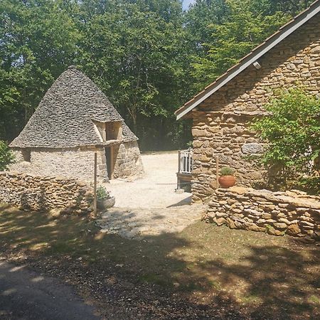 La Borie Du Bois Sarlat Bed & Breakfast Saint-Andre-d'Allas Exterior photo